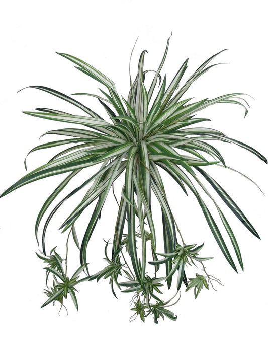 Artificial  Artificial Hanging Spider Plant (100 Fronds)-32" 2 Pieces