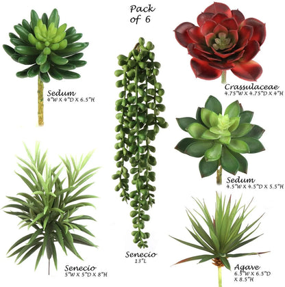 Artificial Succulent Assortment 6 Styles