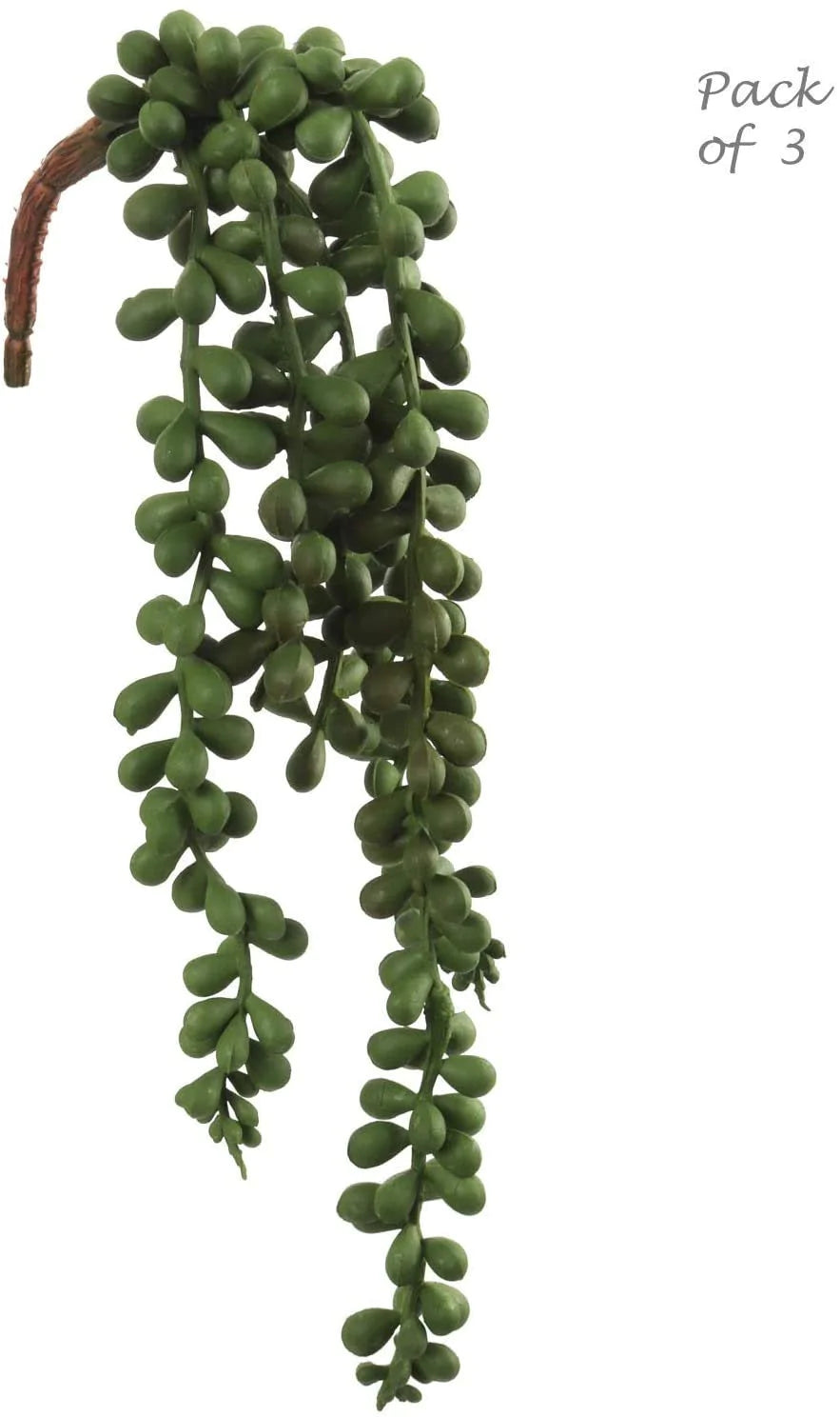 Artificial Succulent String of Pearls Pack of 3