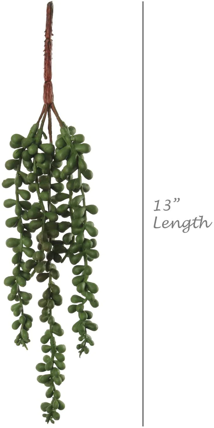 Artificial Succulent String of Pearls Pack of 3