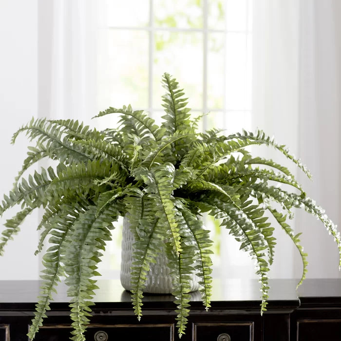 Artificial Boston Fern Plant - 48" (60 Fronds)