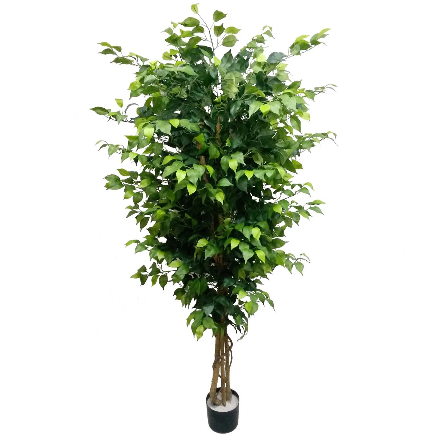 6' Artificial Silk Ficus Tree with 1,528 Leaves