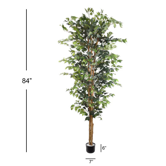 Ficus Forest: 2-Pack of 7' Faux Trees with 1512 Silk Leaves in Black Pot