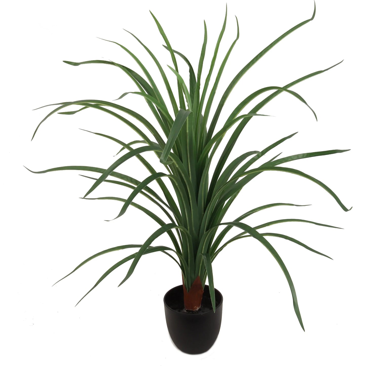 Artificial Dracaena in Black Pot-28"