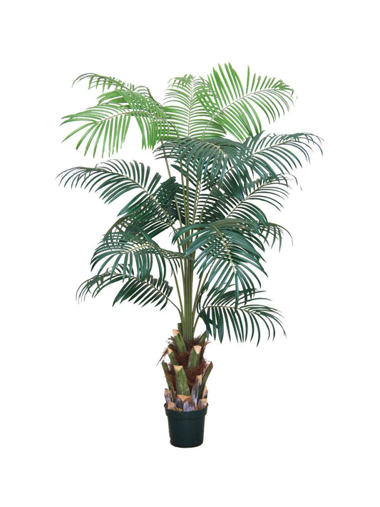 Artificial 7' Areca Wine Palm w 15 Fronds