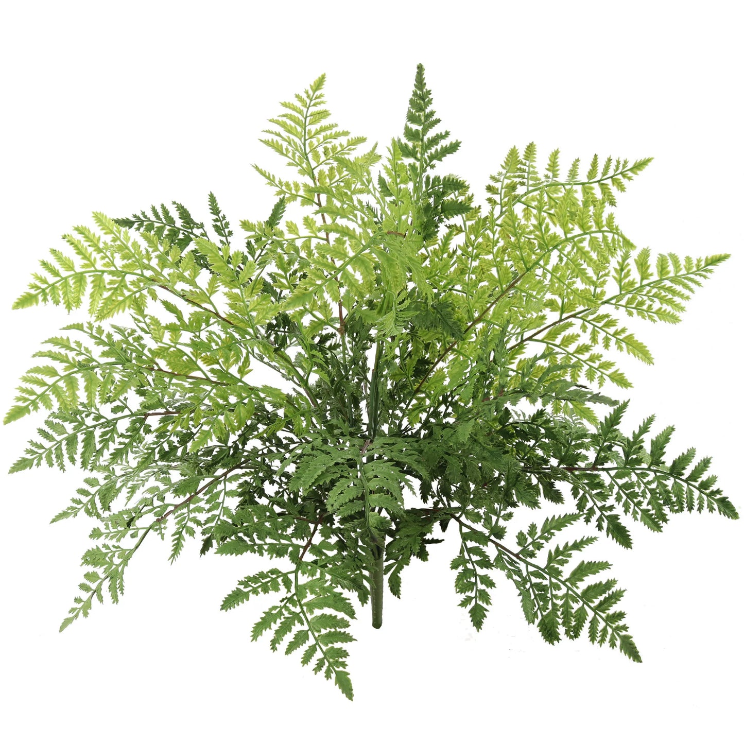 Artificial Leather Fern Bush 28" Wide 7 Sprays of Lifelike Leaves