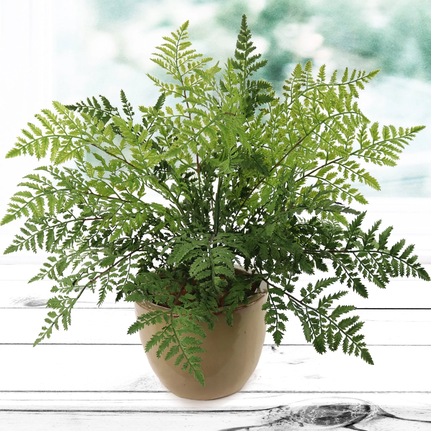 Artificial Leather Fern Bush 28" Wide 7 Sprays of Lifelike Leaves