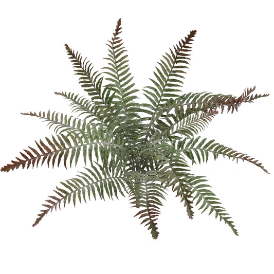 Artificial All Weather Boston Fern (15 Fronds)-22"