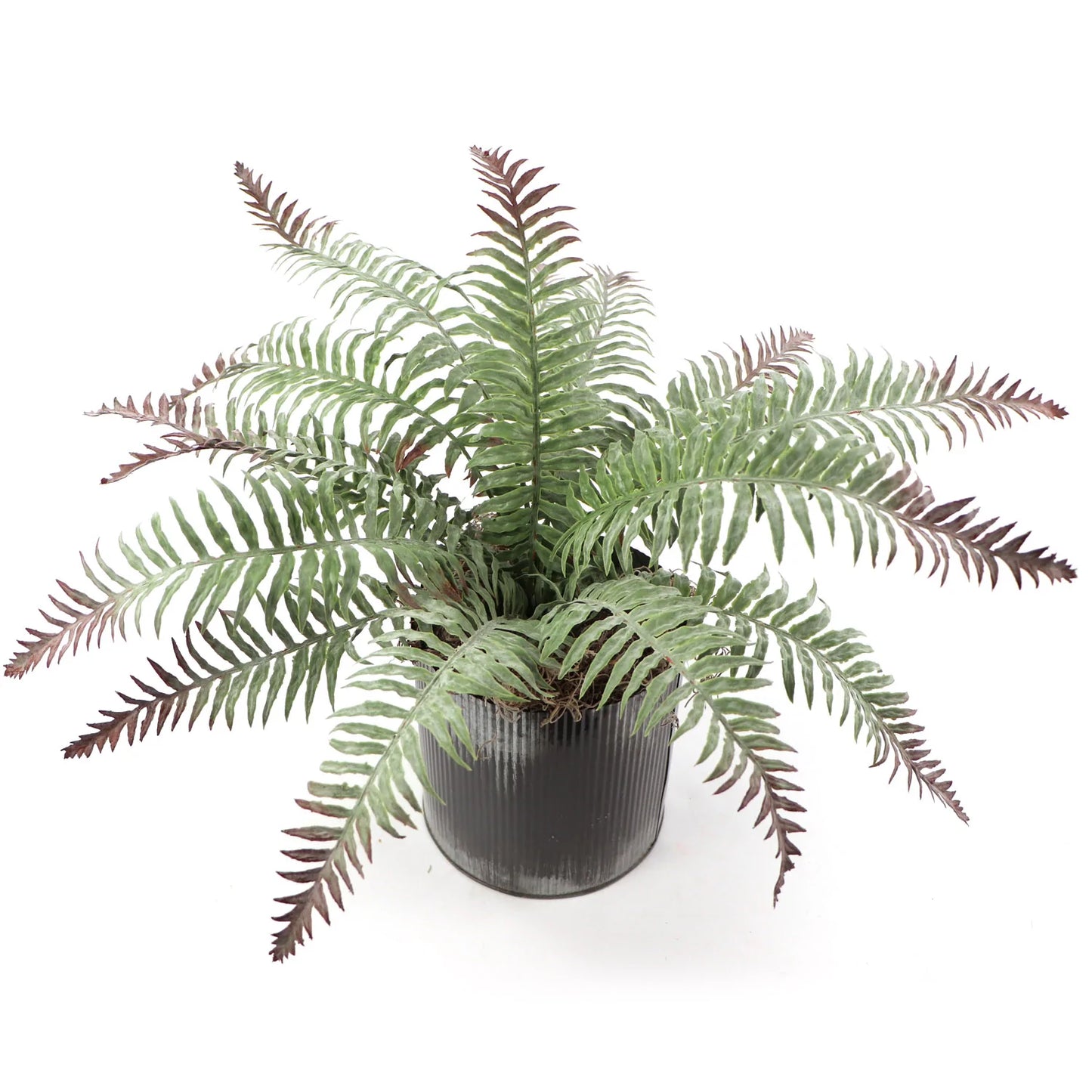 Artificial All Weather Boston Fern (15 Fronds)-22"