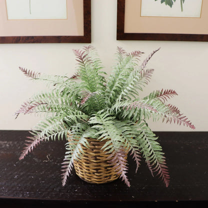 Artificial All Weather Boston Fern (15 Fronds)-22"