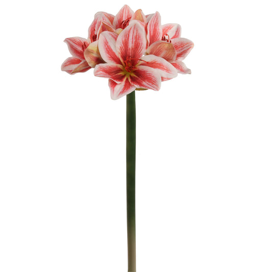 Artificial Christmas Silk Amaryllis 4 Red and White Heads- 24"