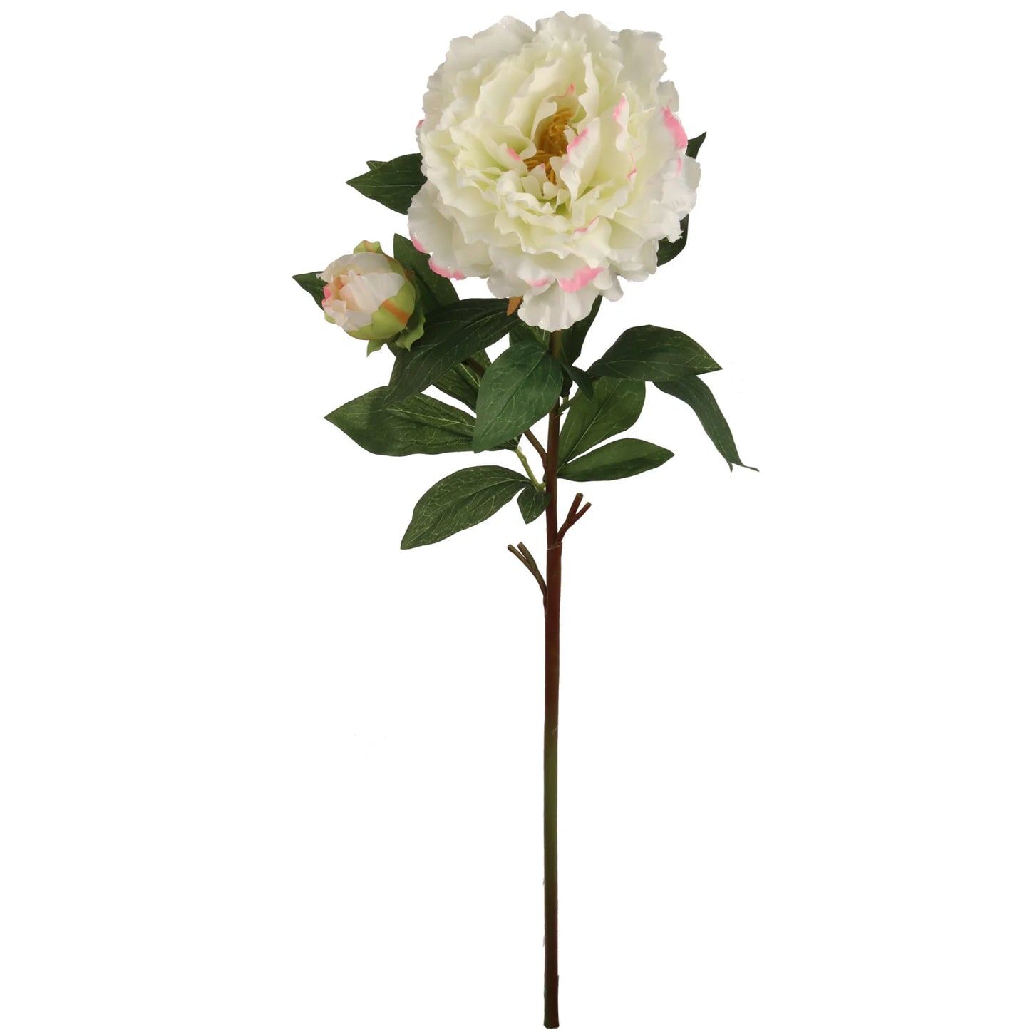 Artificial  Cream Pink Peony Stem-30"