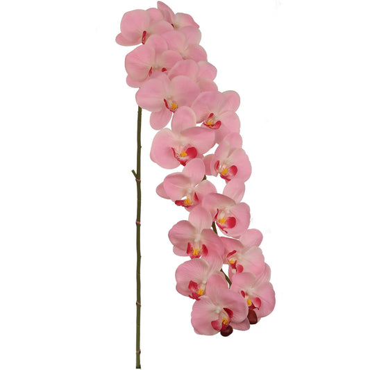 Artificial Real Touch Silk Phalaenopsis Orchid 16 Flowers- 49”