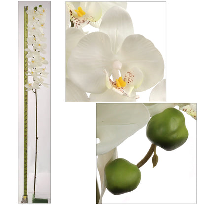 Artificial Real Touch Silk Phalaenopsis Orchid 16 Flowers- 49"