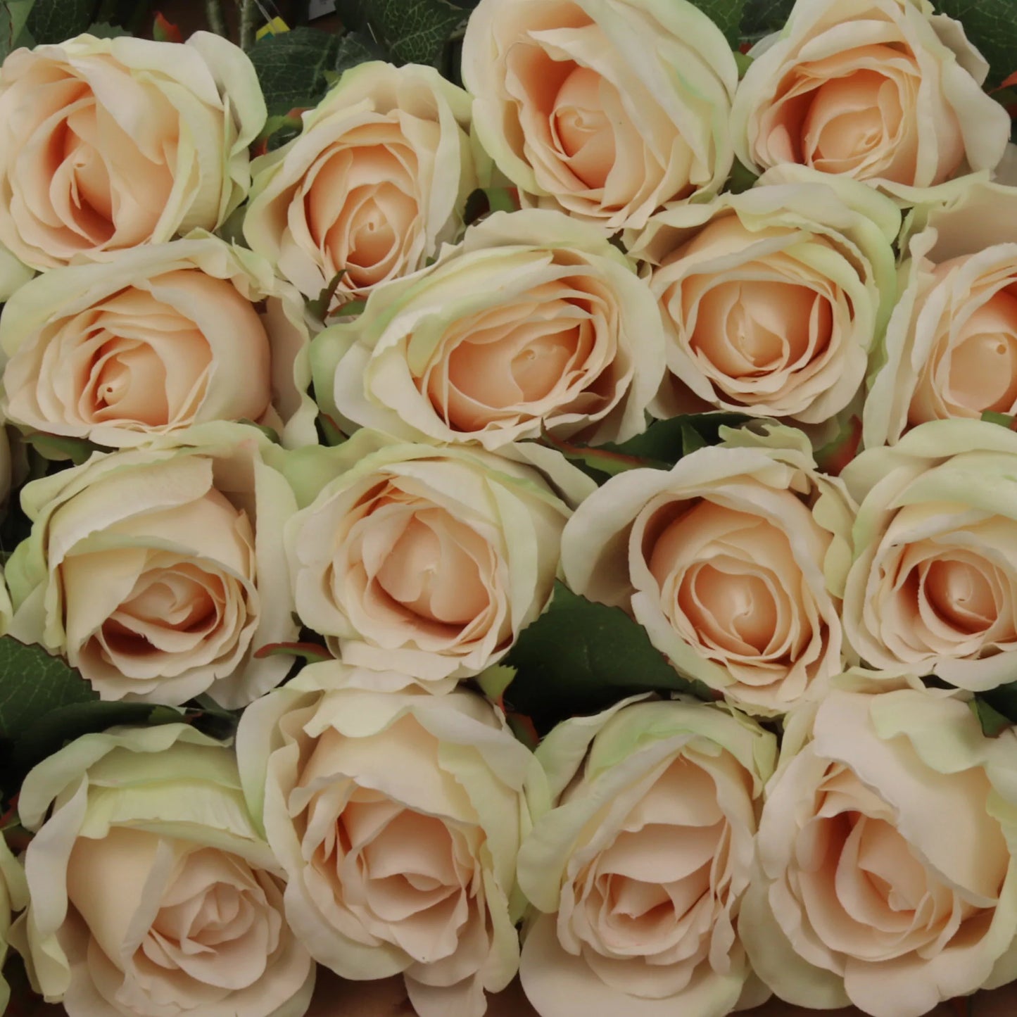 Artificial Champagne Rose Bud-20" (6 Pieces)