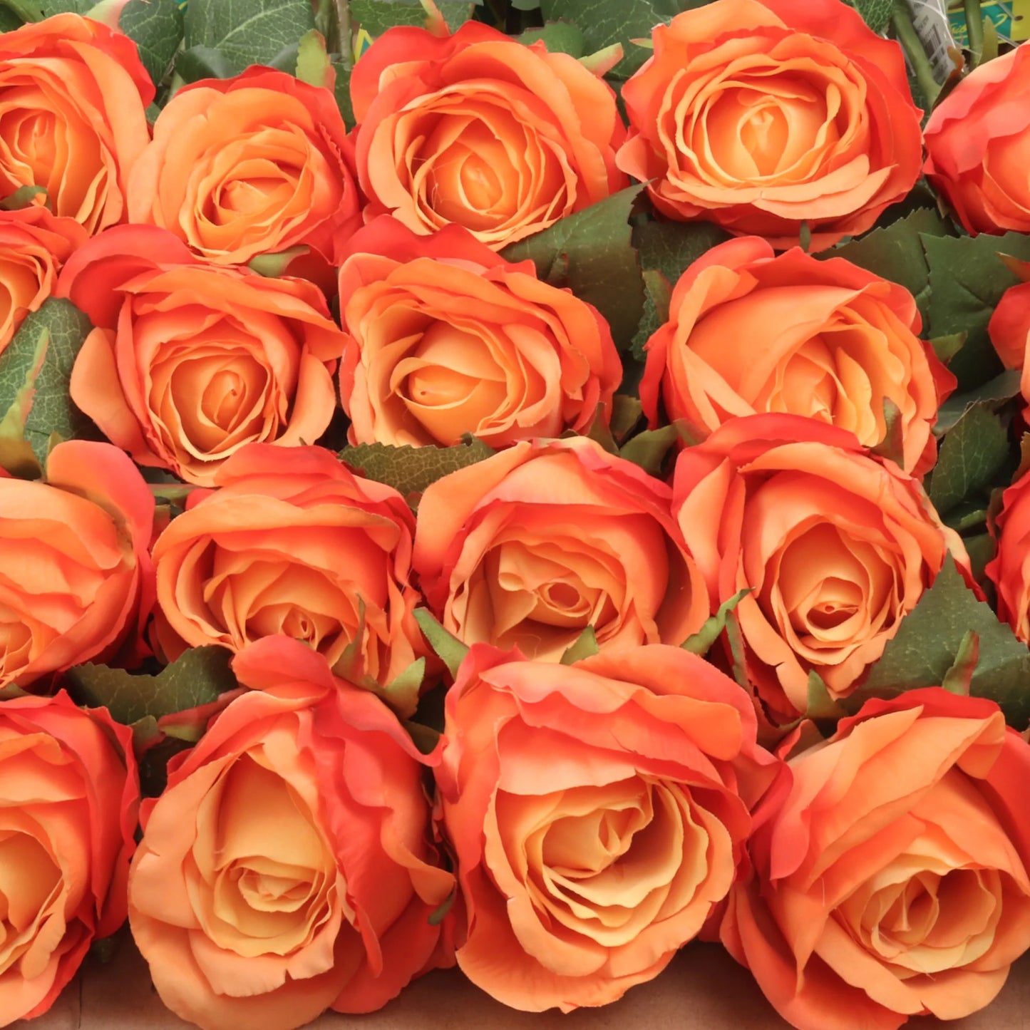 Artificial Orange Rose Bud-20" 6 Pieces