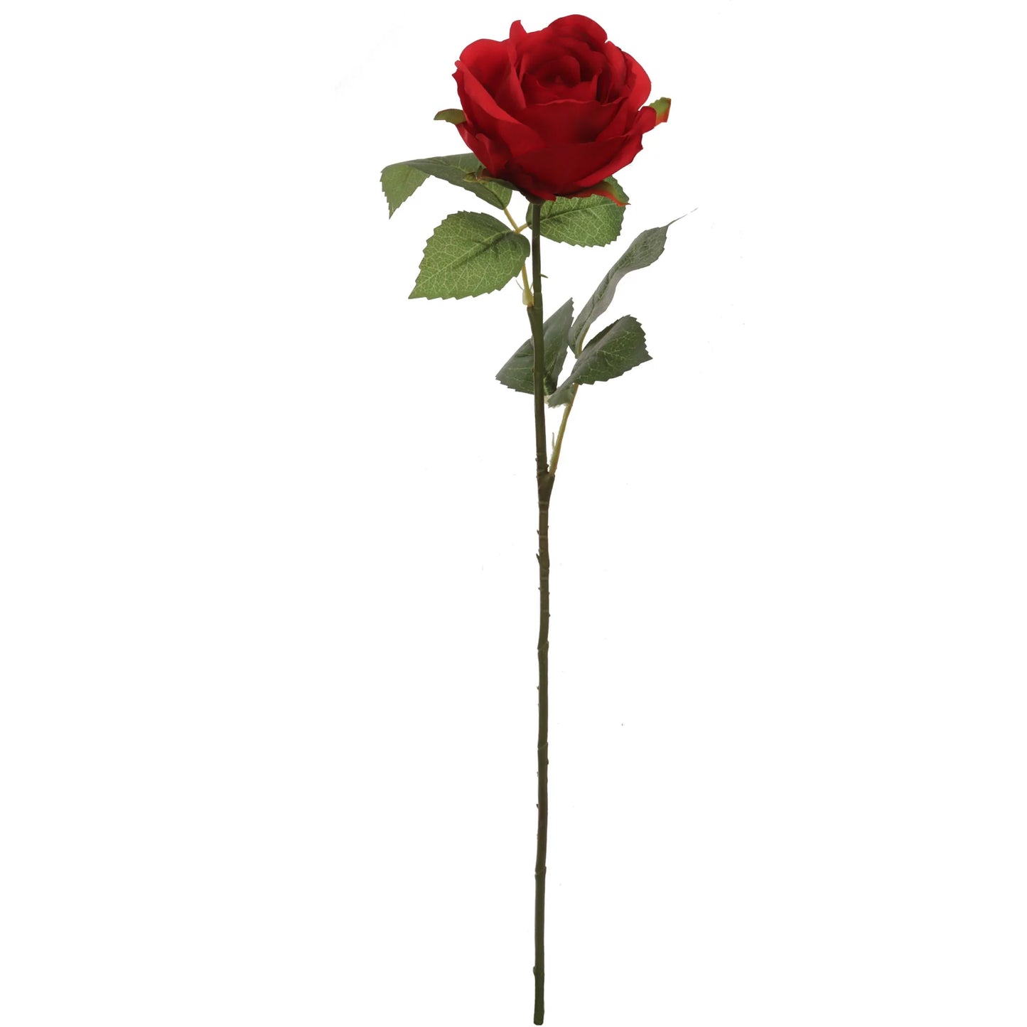 Artificial Red Rose Rose Bud-20" 6 Pieces