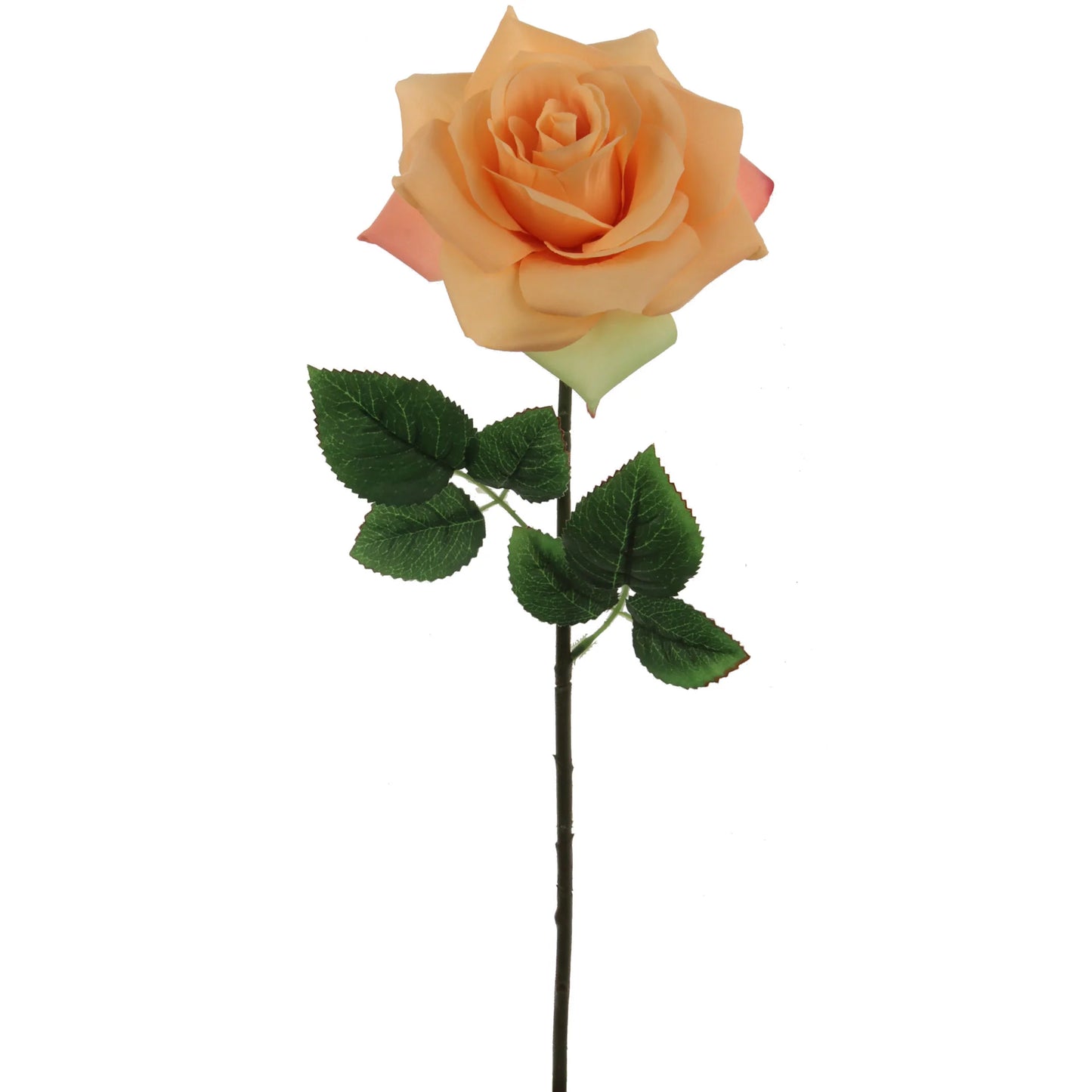 Artificial  Apricot Open Rose Stem-20" 6 Pieces