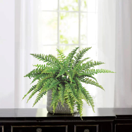 34" Boston Fern Plant Hanging Greenery