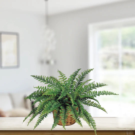 34" Boston Fern Plant Hanging Greenery