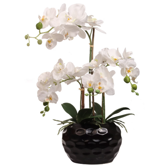 Artificial 20" White Orchid Flower in Black Vase - Elegant Lifelike Faux Floral Decor, Real Touch Design, Easy Maintenance, Premium Quality, Perfect for Home & Office Centerpieces