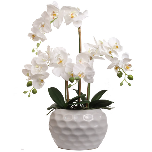 Artificial 20" White Orchid Flower in Vase - Elegant Faux Floral Decor, Lifelike & Low-Maintenance - Ideal Gift for Home, Office, Wedding