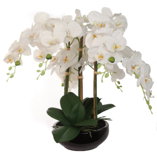 Set of 2- 20" White Phalaenopsis Orchid Floral Black Vase