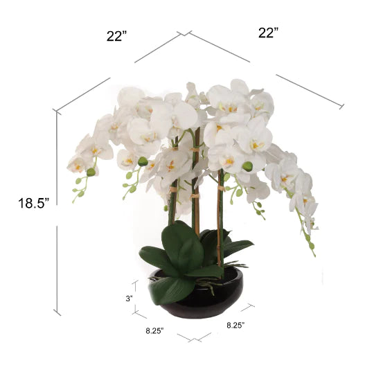 Set of 2- 20" White Phalaenopsis Orchid Floral Black Vase