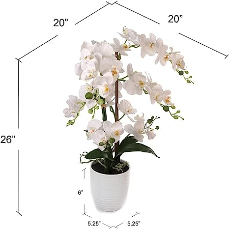 25 Inch Phalaenopsis Orchid Floral Arrangement in Decorative White Ceramic Vase. 17” Diameter