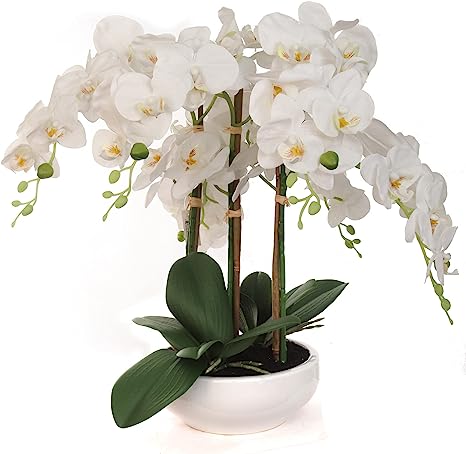 18" Phalaenopsis Orchid Floral Arrangement - 14" Diameter White Ceramic Vase, Lifelike Artificial Flowers, Elegant Home & Office Decor, Perfect Gift, Premium Quality