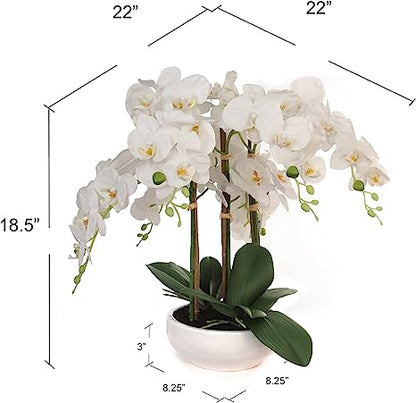 18" Phalaenopsis Orchid Floral Arrangement - 14" Diameter White Ceramic Vase, Lifelike Artificial Flowers, Elegant Home & Office Decor, Perfect Gift, Premium Quality