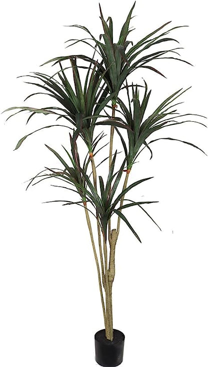 Jungle Oasis Dracena Majesty : Artificial 5' Green Dracena Marginata in Black Pot with Real Touch Realistic Features