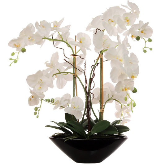 Artificial 24.8" Phalaenopsis Orchid in Black Pot - Realistic, Lifelike Silk Flower Plant Decor - Easy Maintenance Home & Office Decoration