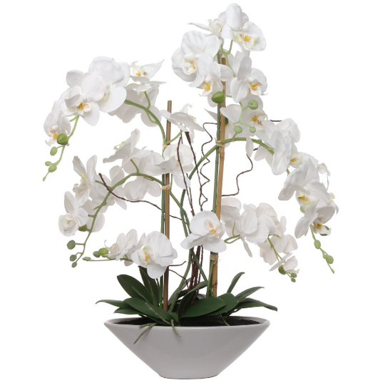 Artificial 24.8" Phalaenopsis Orchid in White Pot - Realistic, Lifelike Silk Flower Plant Decor - Easy Maintenance Home & Office Decoration