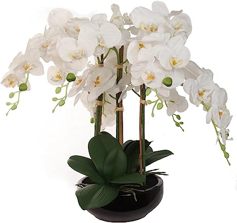 20" Phalaenopsis Orchid Floral Arrangement - 15" Diameter Black Vase, Lifelike Artificial Flowers, Elegant Home & Office Decor, Perfect Gift, Premium Quality