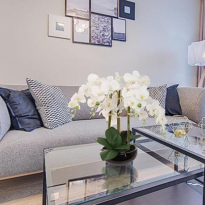 20" Phalaenopsis Orchid Floral Arrangement - 15" Diameter Black Vase, Lifelike Artificial Flowers, Elegant Home & Office Decor, Perfect Gift, Premium Quality