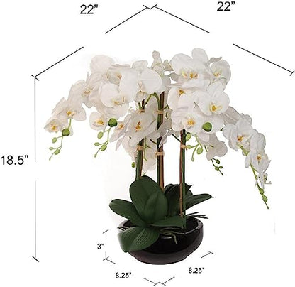 20" Phalaenopsis Orchid Floral Arrangement - 15" Diameter Black Vase, Lifelike Artificial Flowers, Elegant Home & Office Decor, Perfect Gift, Premium Quality