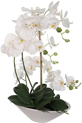 21" Phalaenopsis Orchid Floral Arrangement - 15" Diameter White Vase, Lifelike Artificial Flowers, Elegant Home & Office Decor, Perfect Gift, Premium Quality