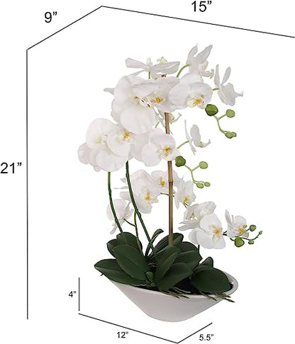 21" Phalaenopsis Orchid Floral Arrangement - 15" Diameter White Vase, Lifelike Artificial Flowers, Elegant Home & Office Decor, Perfect Gift, Premium Quality